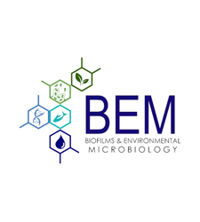 bem